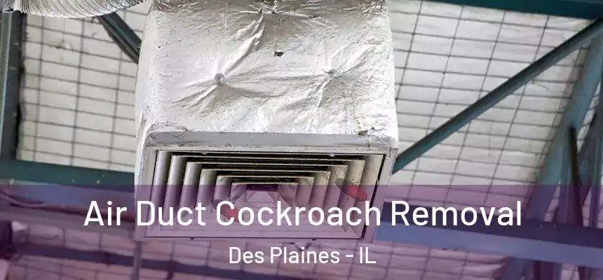  Air Duct Cockroach Removal Des Plaines - IL