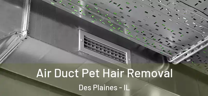  Air Duct Pet Hair Removal Des Plaines - IL