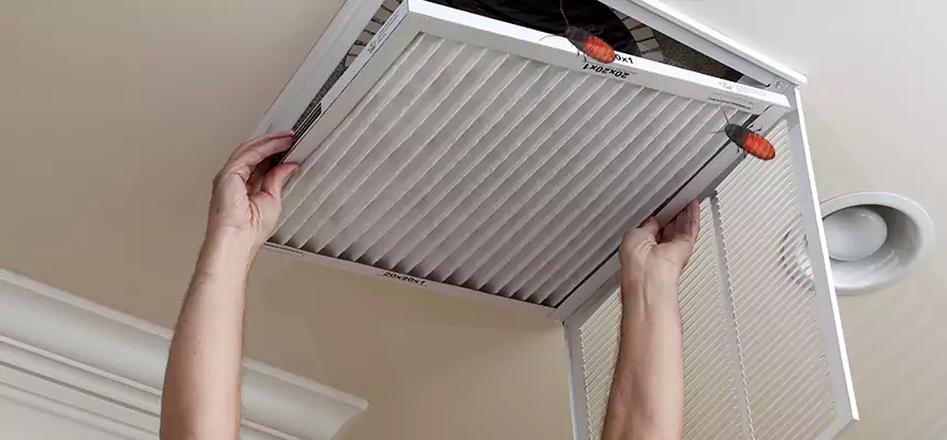 Preventive Cockroach-Proofing for Ducts in Des Plaines