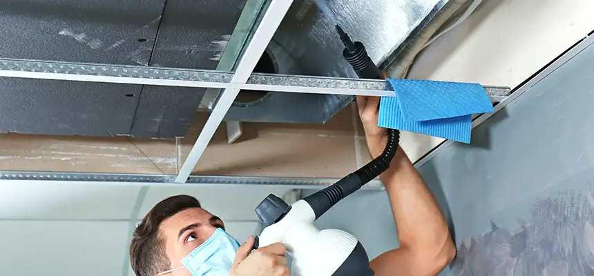Our Air Duct Rodent Removal Services in Des Plaines, IL