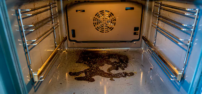 Our Dryer Vent Mold Cleaning Services in Des Plaines, IL