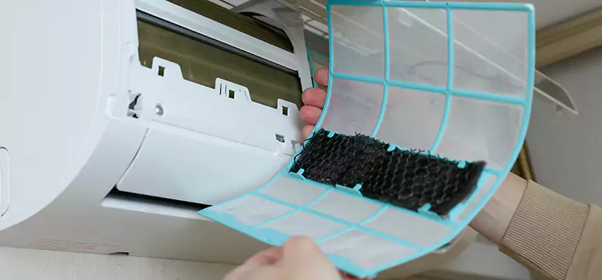 Gentle Ductwork Odor-Control Pet Dander Duct Cleaning in Des Plaines, IL