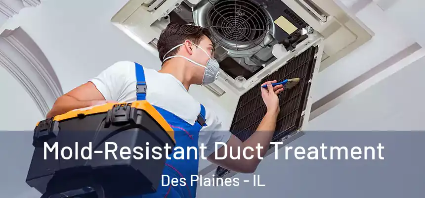  Mold-Resistant Duct Treatment Des Plaines - IL