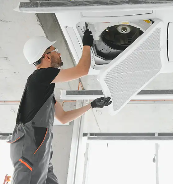 About Air Duct Rodent Removal in Des Plaines, IL