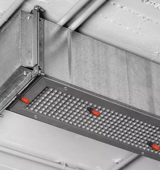 Affordable Insect Removal from Air Ducts in Des Plaines, IL
