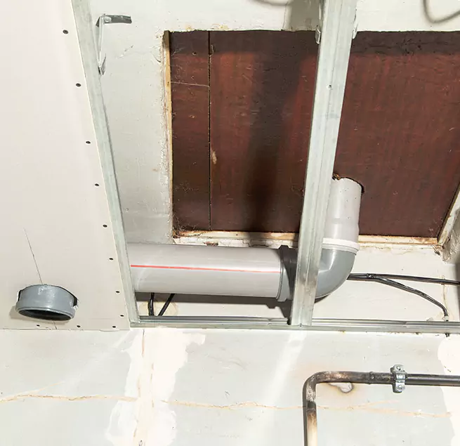 Why Homeowners & Businesses Trust Us in Des Plaines, IL?