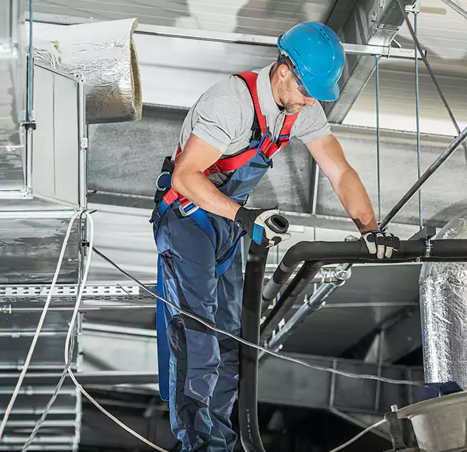 Why Homeowners & Businesses Trust Us in Des Plaines, IL?