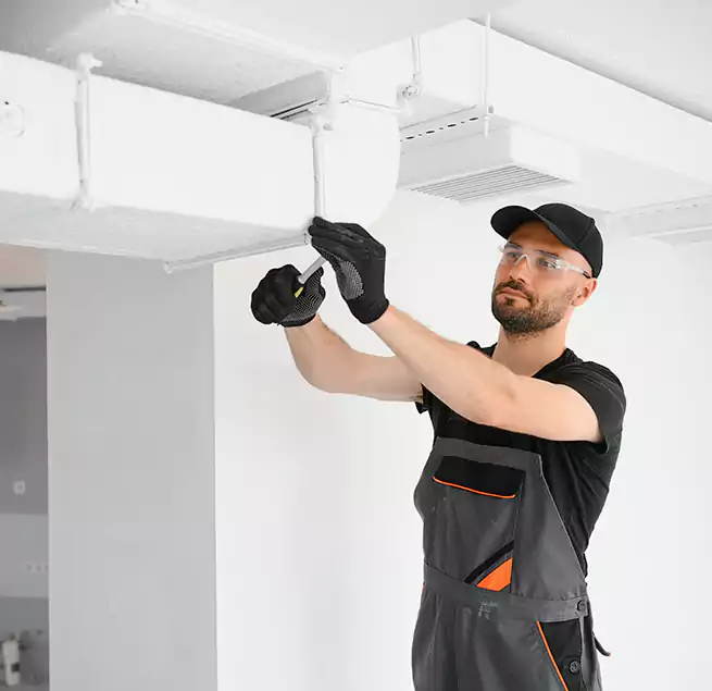 Why Homeowners & Businesses Trust Us in Des Plaines, IL?