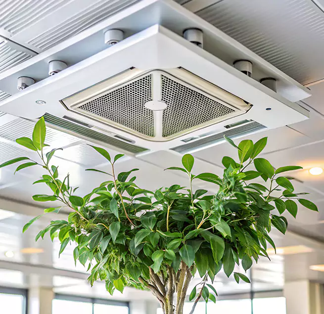 Why Homeowners & Businesses Trust Us in Des Plaines, IL