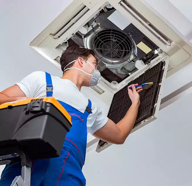 Why Homeowners & Businesses Trust Us in Des Plaines, IL?