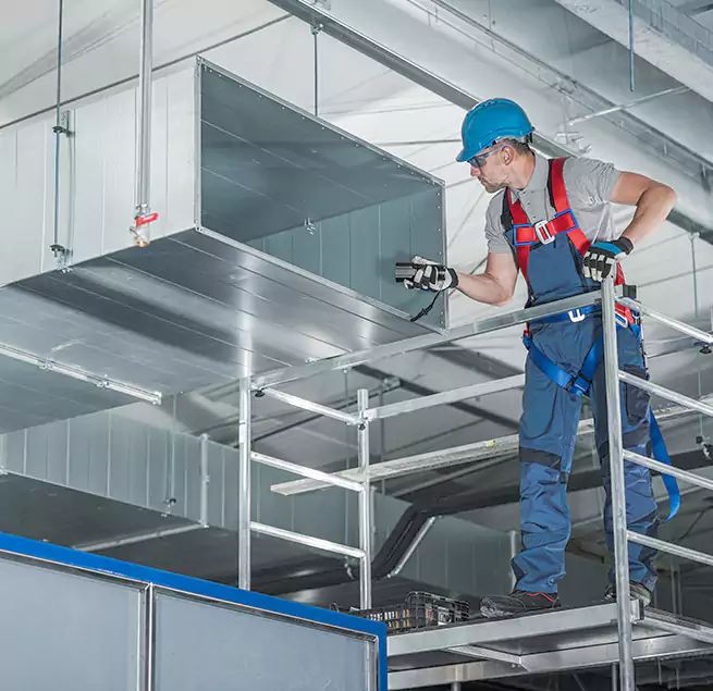 Why Homeowners Businesses Trust Us in Des Plaines, IL