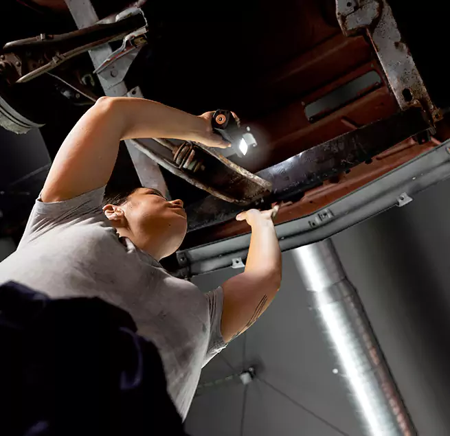 Why Homeowners & Businesses Trust Us Des Plaines, IL